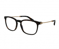 Оправа Rodenstock R8029 B000 (18-53-140), коричневый оригинальный золотистый