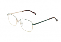 Оправа Benetton BEO309 503 (19-52-145), золотистый зелёный