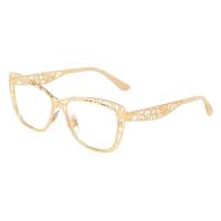 Dolce & Gabbana DG1287
