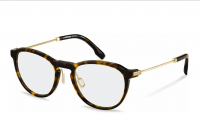 Оправа Rodenstock R8031 A000 (20-55-145), гавана золотистый