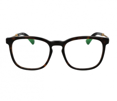 Оправа Rodenstock R8029 B000 (18-53-140), коричневый оригинальный золотистый