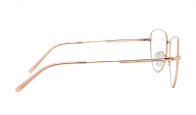 Женская оправа для зрения Rodenstock R7104 B (52-16-135), титан