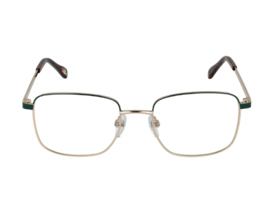 Оправа Benetton BEO309 503 (19-52-145), золотистый зелёный