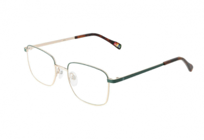Оправа Benetton BEO309 503 (19-52-145), золотистый зелёный